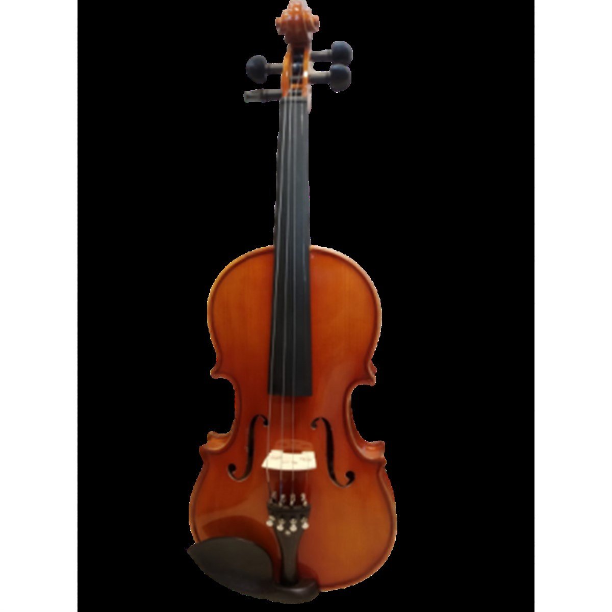 STRUGA PRO 4/4 ANTİK KEMAN - ABANOZ AKSAM