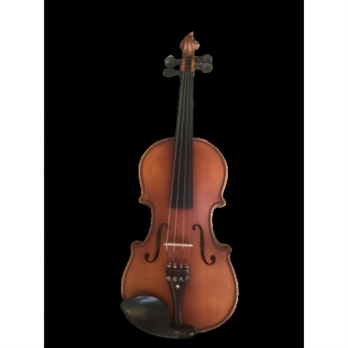 STRUGA PRO 4/4 ANTİK MAT KEMAN - ABANOZ AKSAM