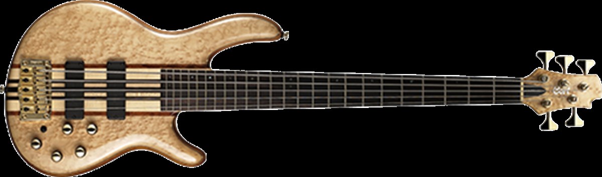 BAS GİTAR 5 TELLİ,  NATÜREL, ÇANTALI, MANYETİKLER: