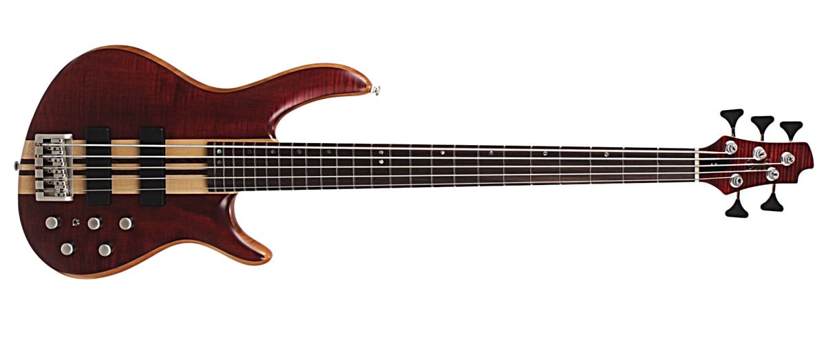 BAS GİTAR 5 TELLİ, OPEN PORE VİŞNE ÇÜRÜĞÜ, MANYETİ