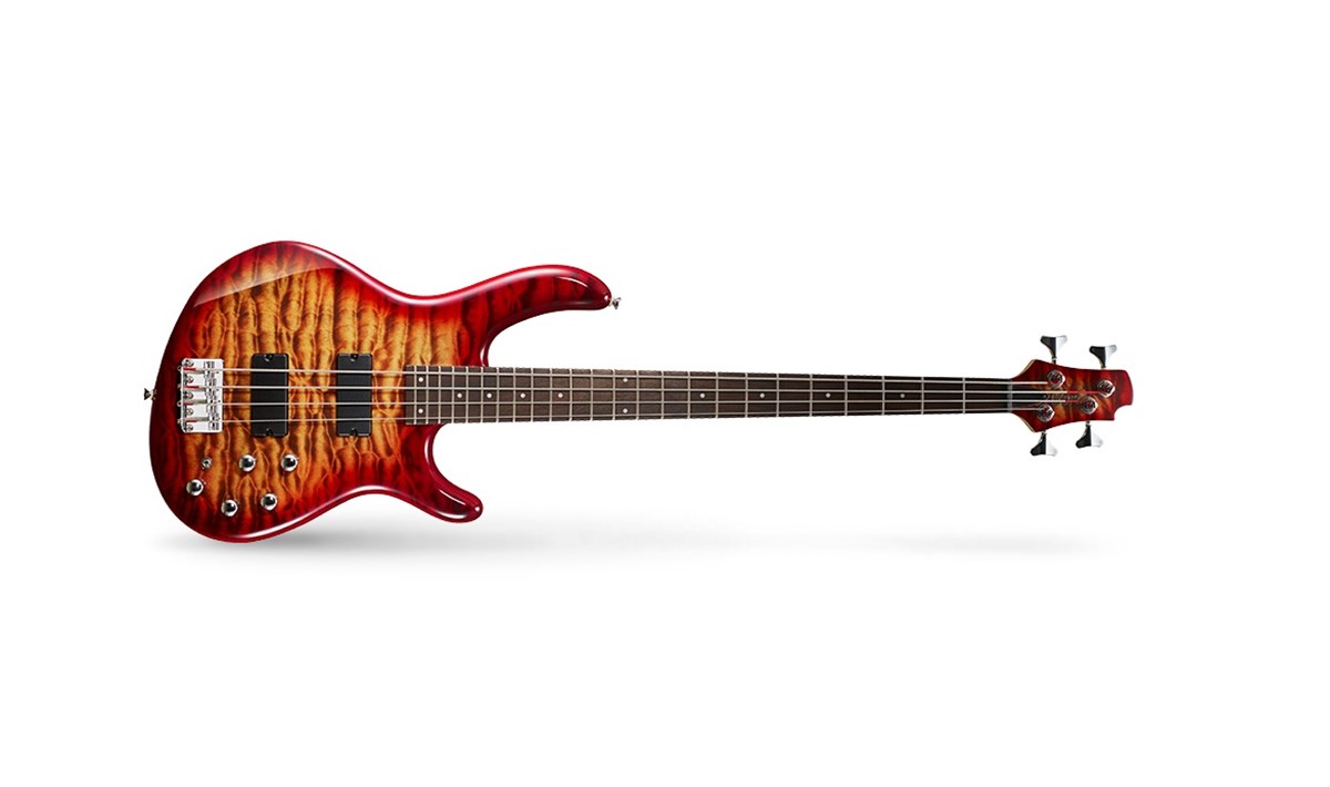 BAS GİTAR ACTION 4 TELLİ PLUS (DELUX )