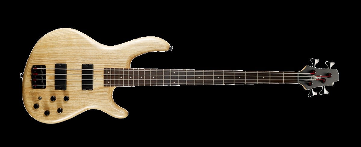 BAS GİTAR ACTION 5 TELLİ (DELUX ), SWAMP ASH KASA,