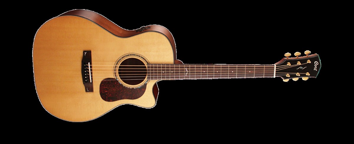 ELEKTRO AKUSTİK GİTAR KILIFLI