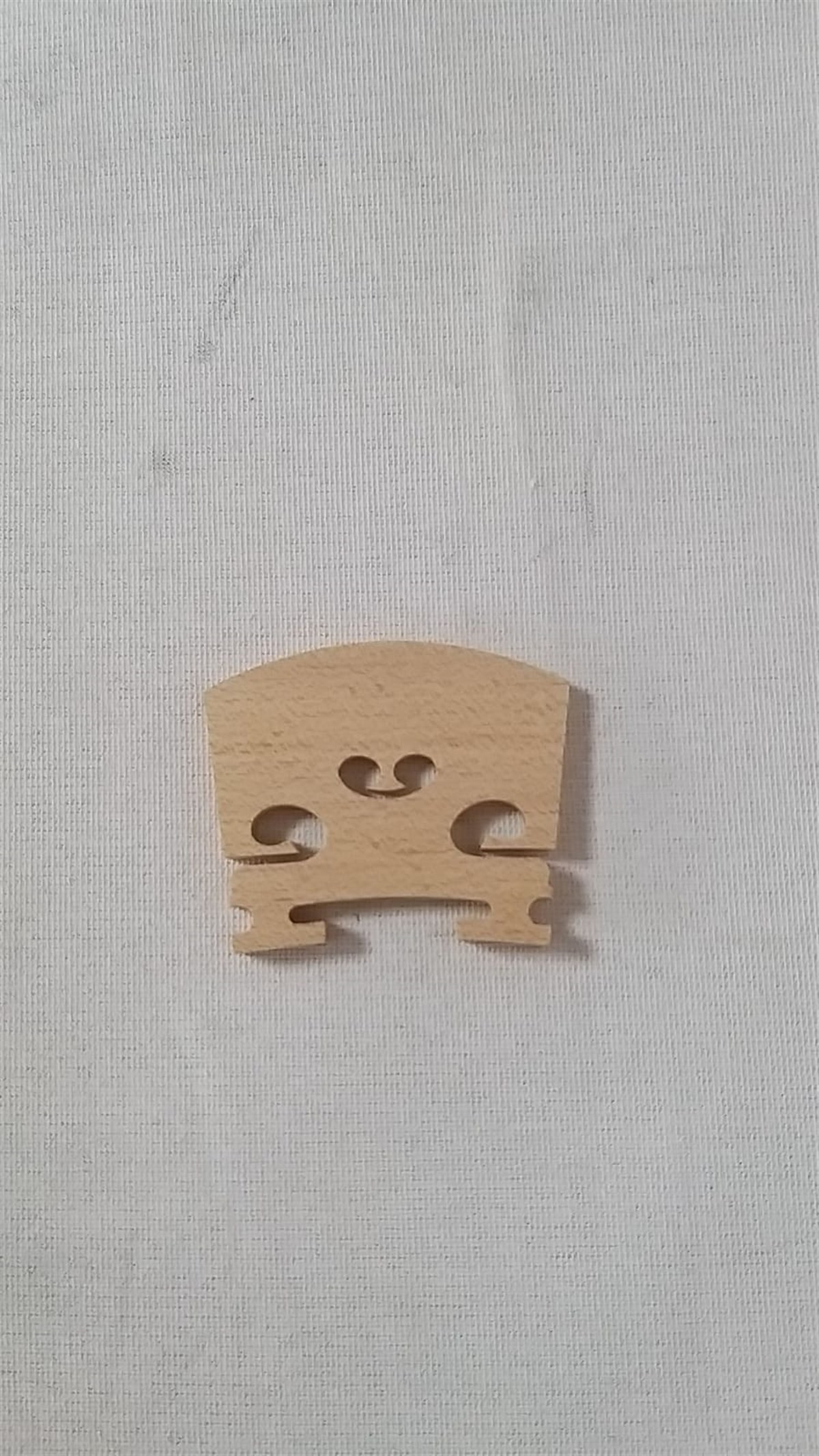 VIOLA BRIDGE-Köprü (16