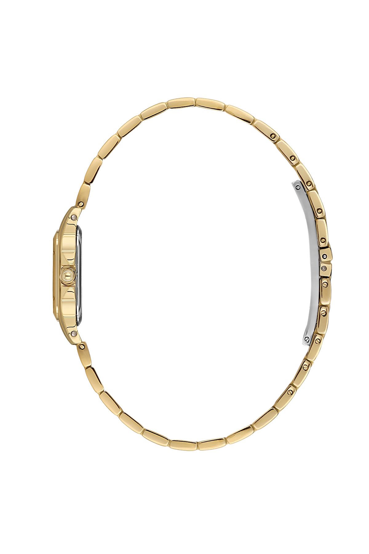 Santa Barbara Polo Racquet Club SB.1.10569-2 Luxury Kadın Kol Saati