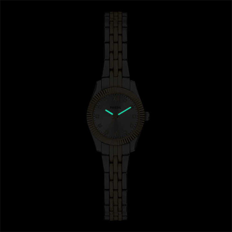 Fossil FES5473 Kadın Kol Saati