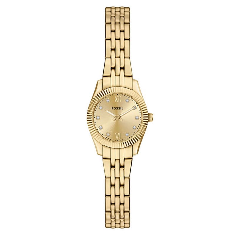 Fossil FES5474 Kadın Kol Saati