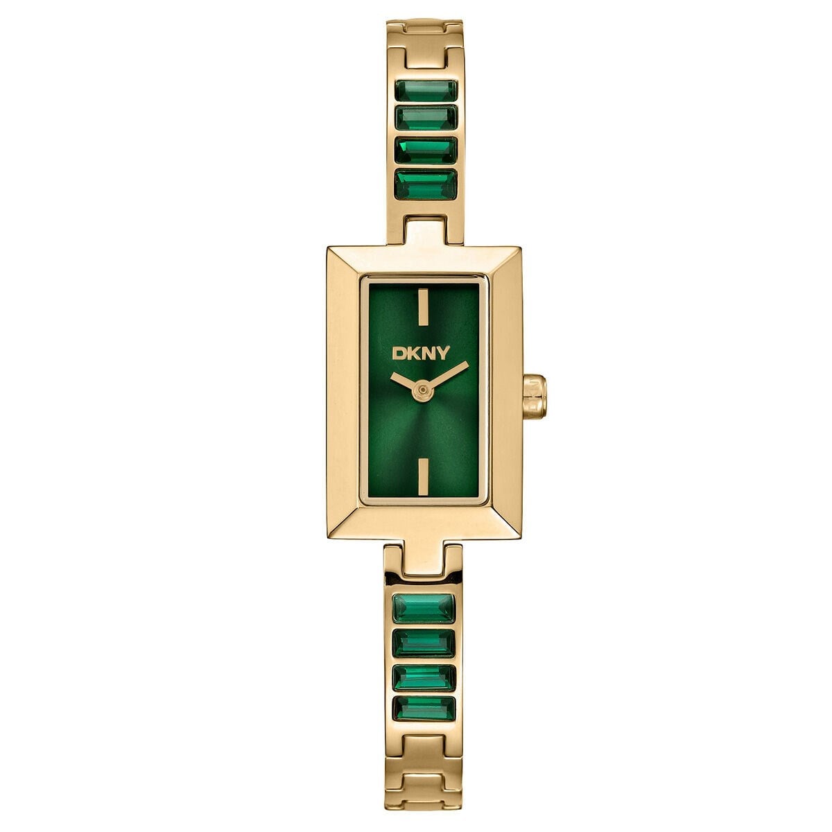 DKNY DK1L166M0045 Kadın Kol Saati