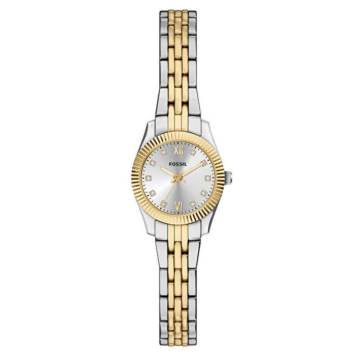 Fossil FES5473 Kadın Kol Saati