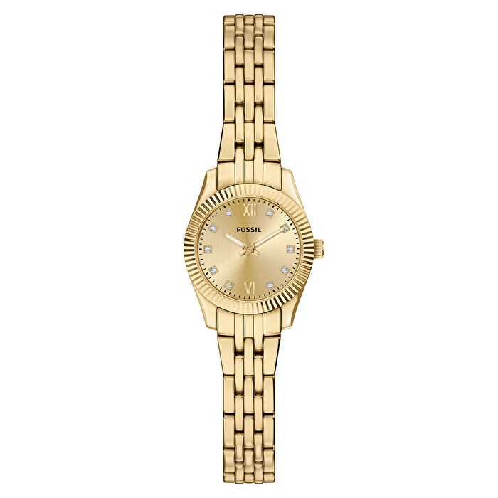 Fossil FES5474 Kadın Kol Saati