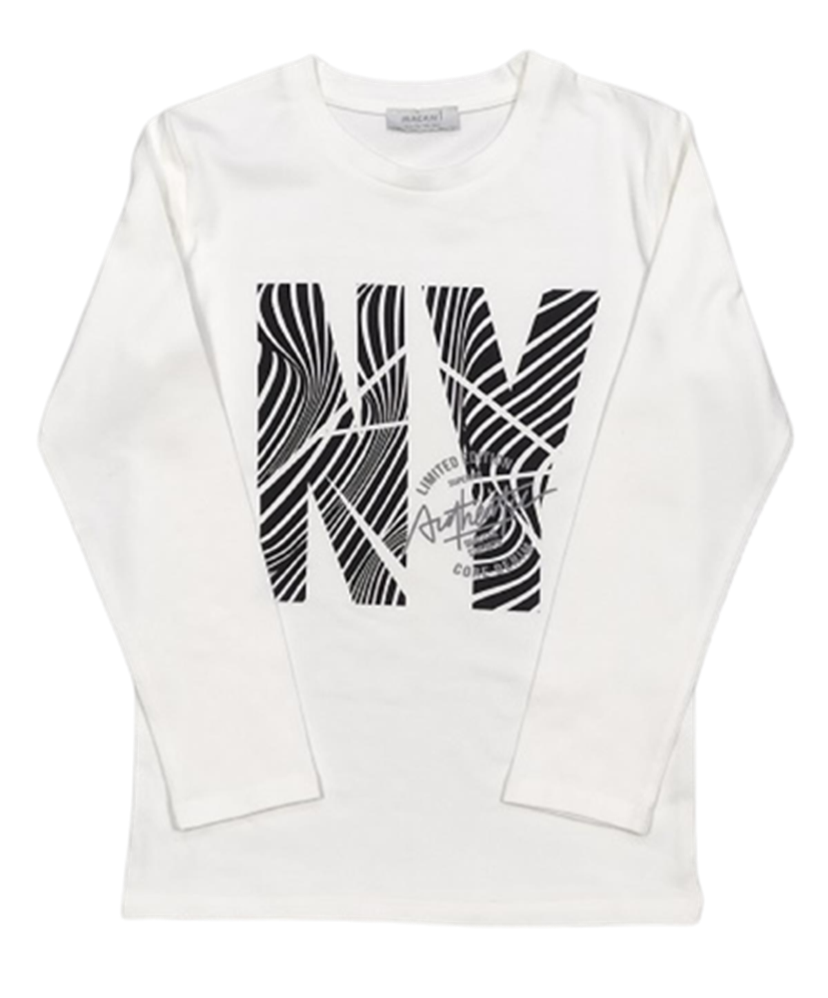 AUTHENTIC ERKEK SWEAT