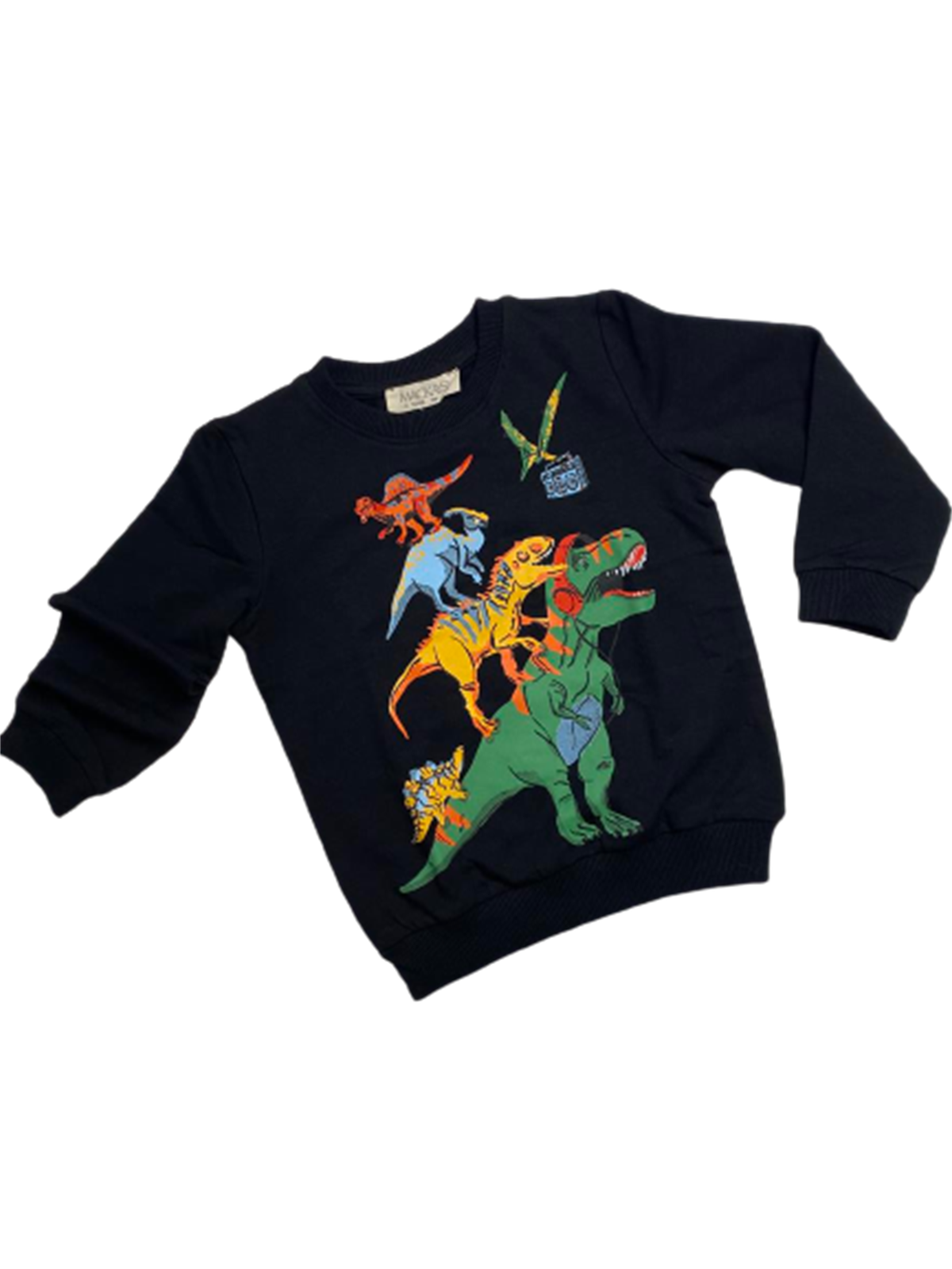DİNAZORLAR ERKEK ÇOCUK SWEAT