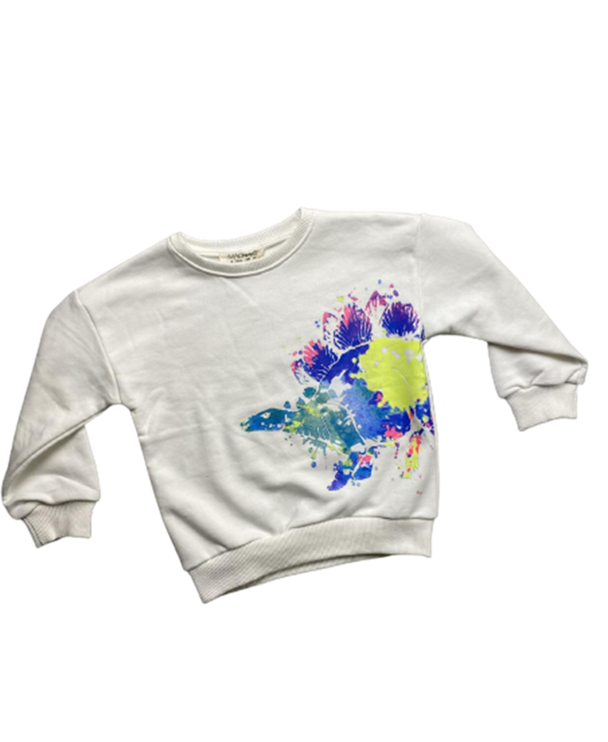 RENKLİ DİNO ERKEK SWEAT