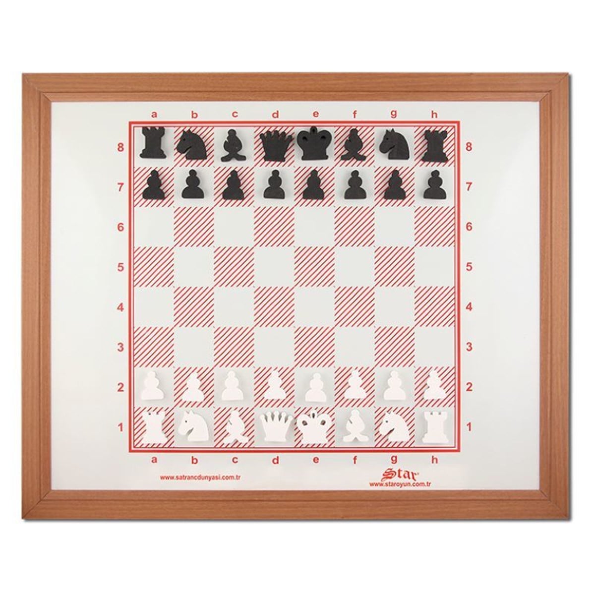 SATRANÇ EĞİTİM PANOSU 80x96