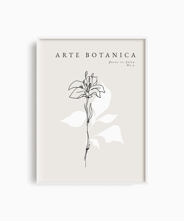 Arte Botanica No.7 Poster