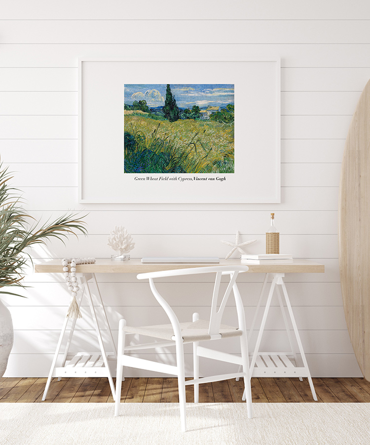 green wheat field with cypress