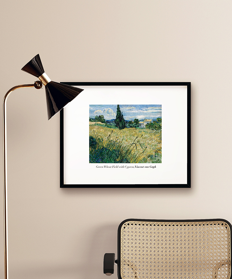 green wheat field with cypress