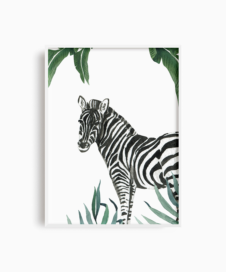 Safari Zebra Poster