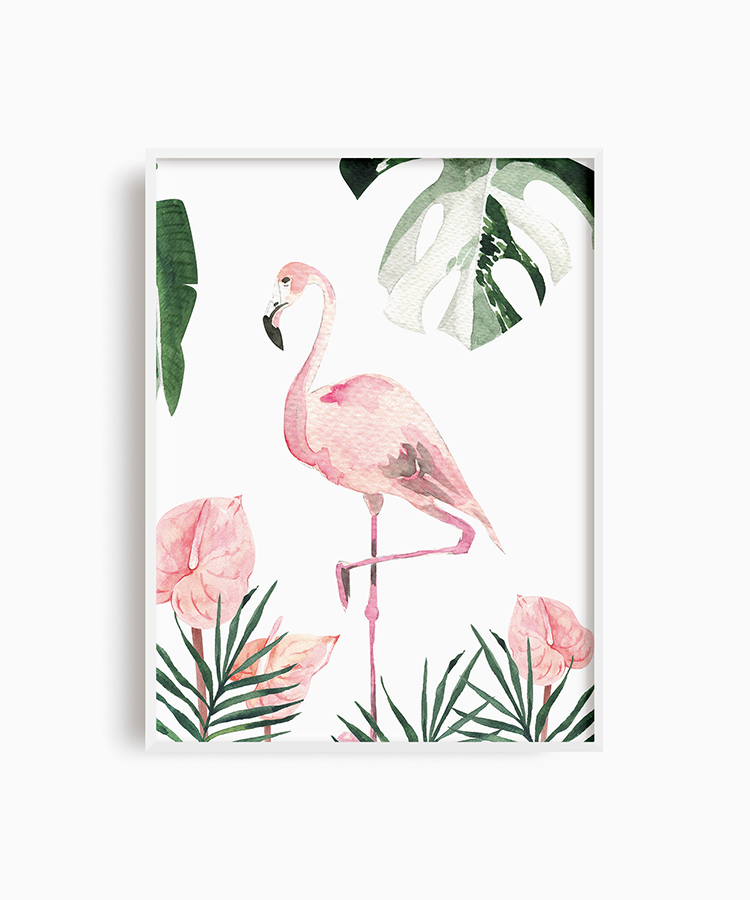 Safari Flamingo Poster