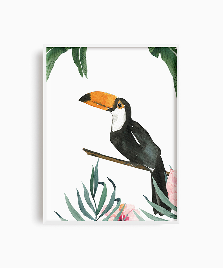 Tropikal Tukan Kuşu Poster