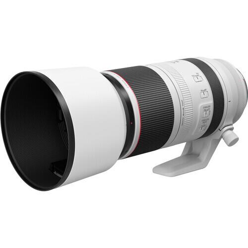 Canon RF 100-500mm F/4.5-7.1L IS USM Lens