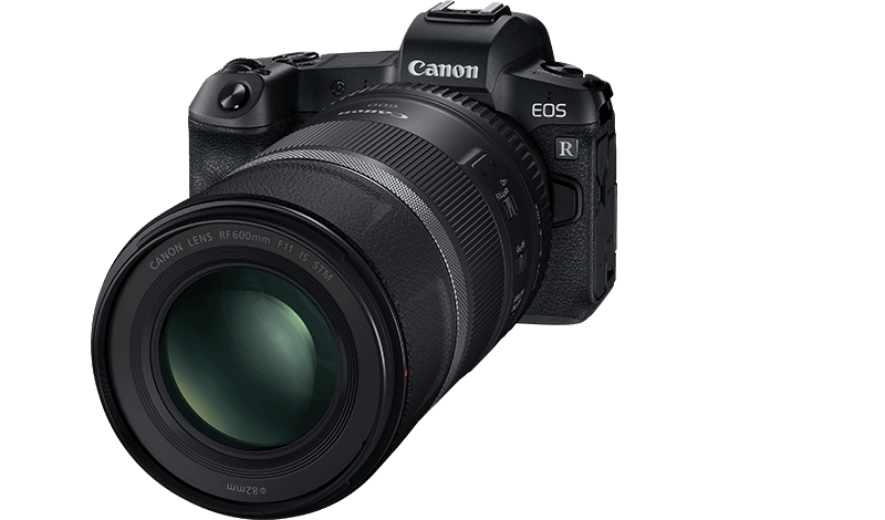 Canon RF 600mm F11 IS STM Lens