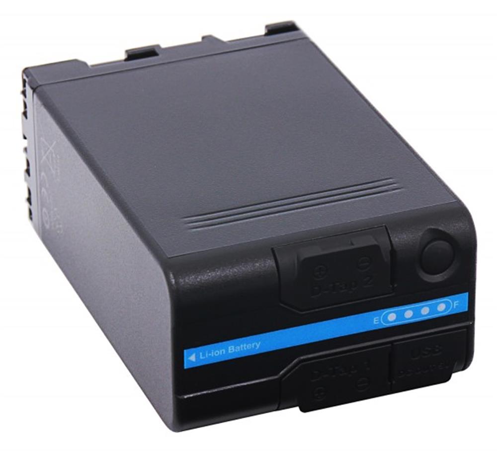 PATONA Platinum Battery BP-U100 