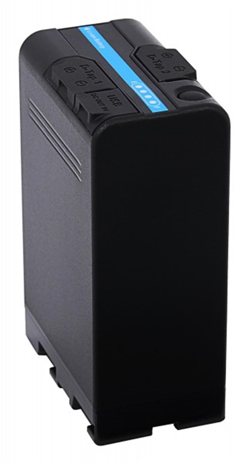 PATONA Platinum Battery BP-U100 