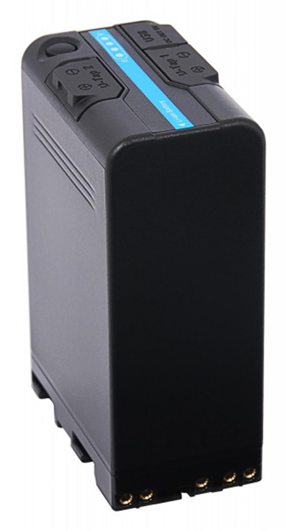 PATONA Platinum Battery BP-U100 