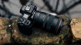 Canon RF 100mm F/2.8L Macro IS USM Lens