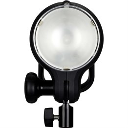 D1 1000 Air Monolight 