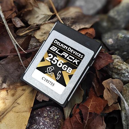 Delkin Devices 256GB BLACK 4.0 CFexpress Type B Memory Card