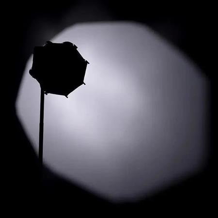 Ulanzi AS-D30 30cm Mini Bowens Montajlı ve Izgaralı Sekizgen Softbox