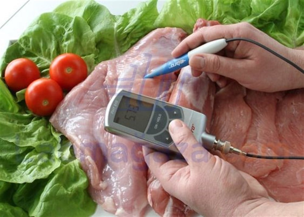 Ebro Portatif pH Metre / ST 1000