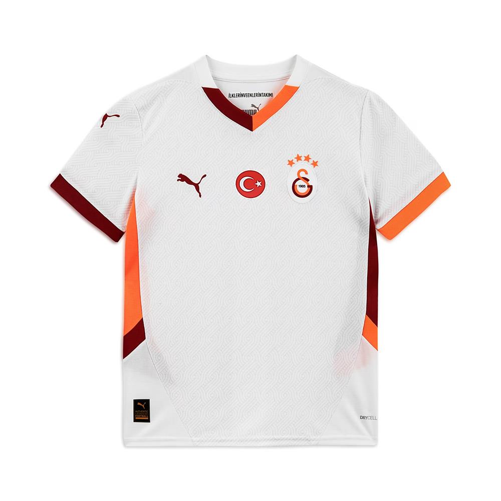 Galatasaray S.k. 24/25 Genç Deplasman Forması 02 Renk 02