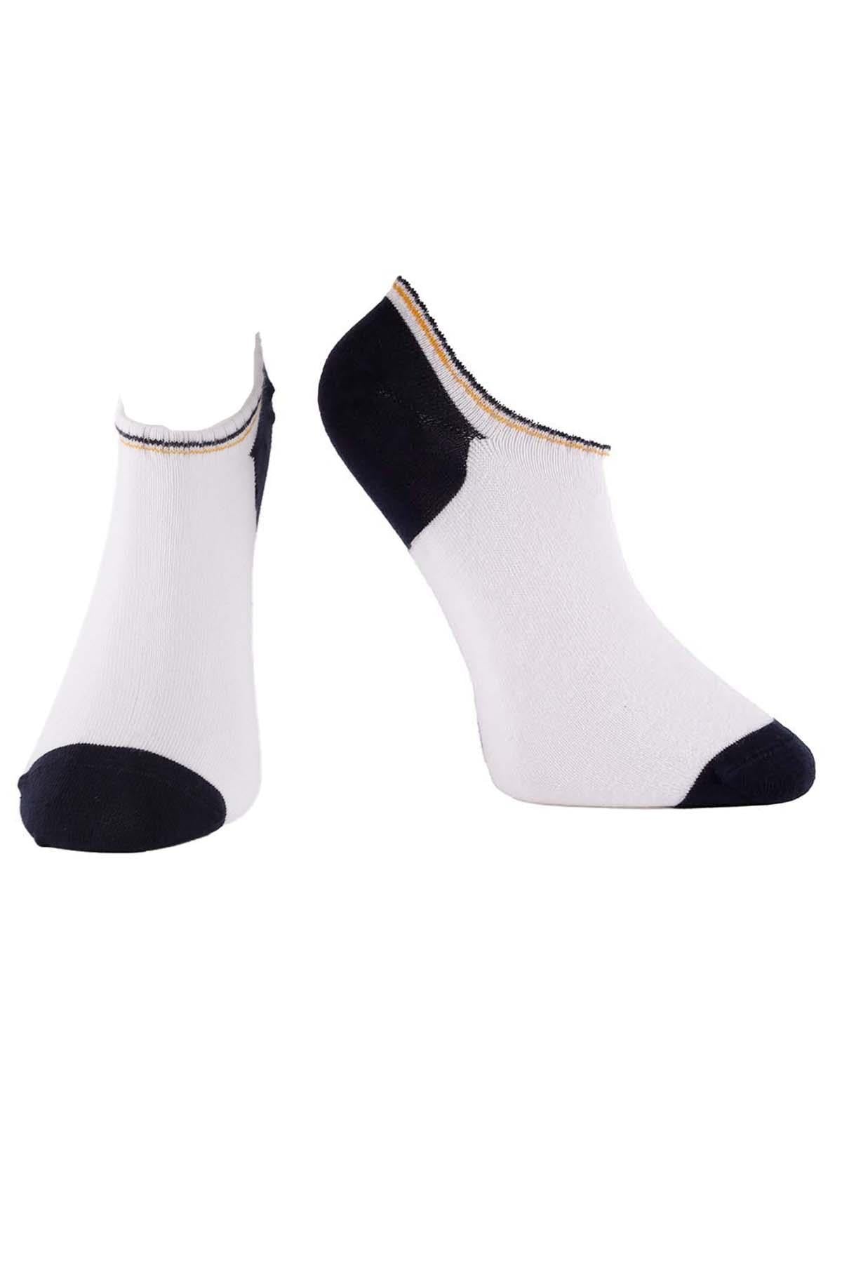 Erkek 3lü Sneaker Çorap Karışık Renkler 7707