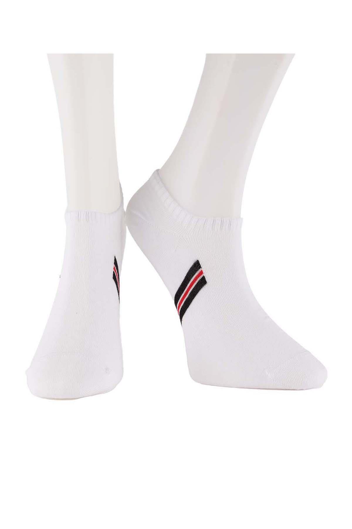 Erkek 4lü Sneaker Çorap Karışık Renkler 7709