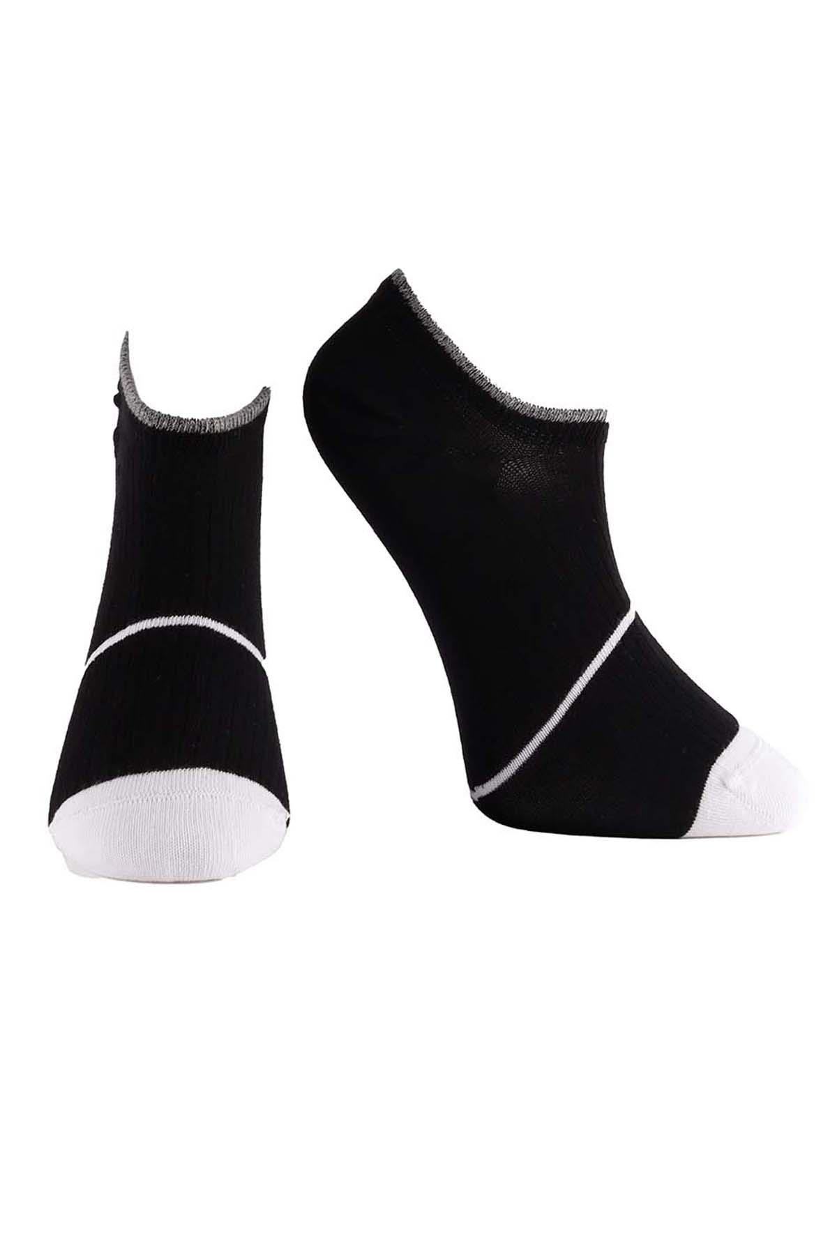 Erkek 4lü Sneaker Çorap Karışık Renkler 7710