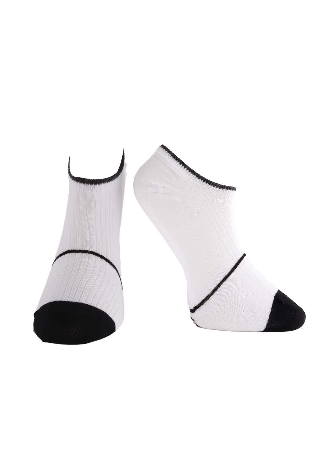 Erkek 4lü Sneaker Çorap Karışık Renkler 7710