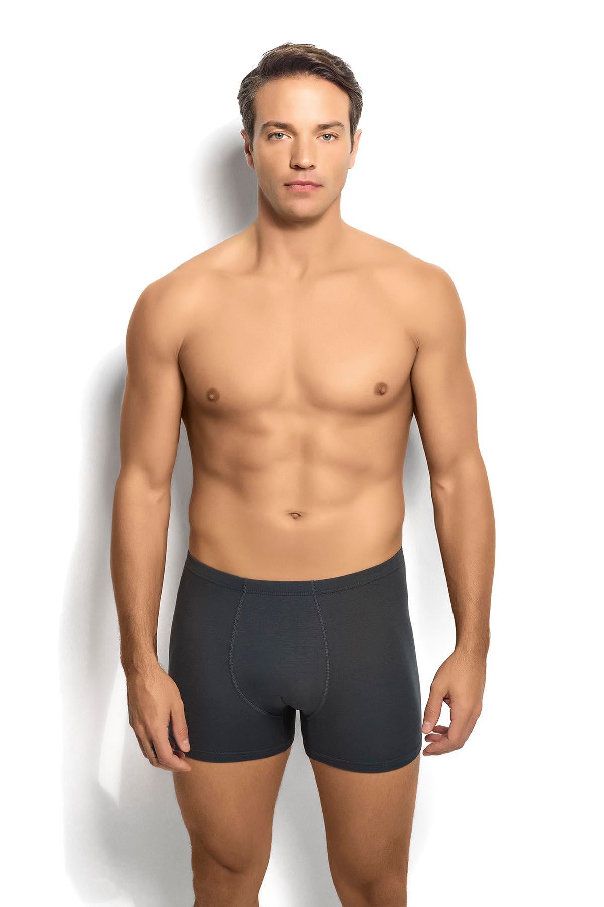 Erkek 6lı Füme Bambu Boxer 278