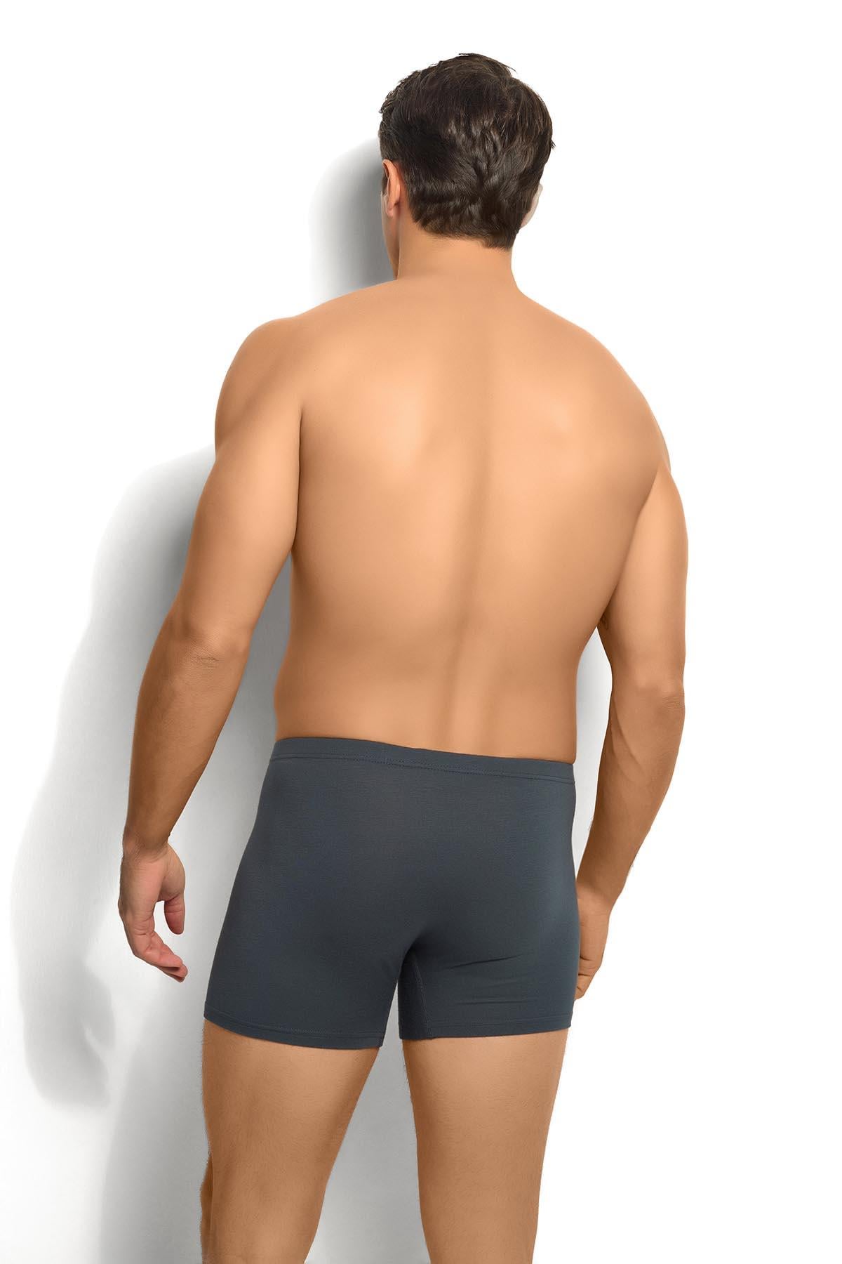 Erkek Bambu Füme Boxer 278