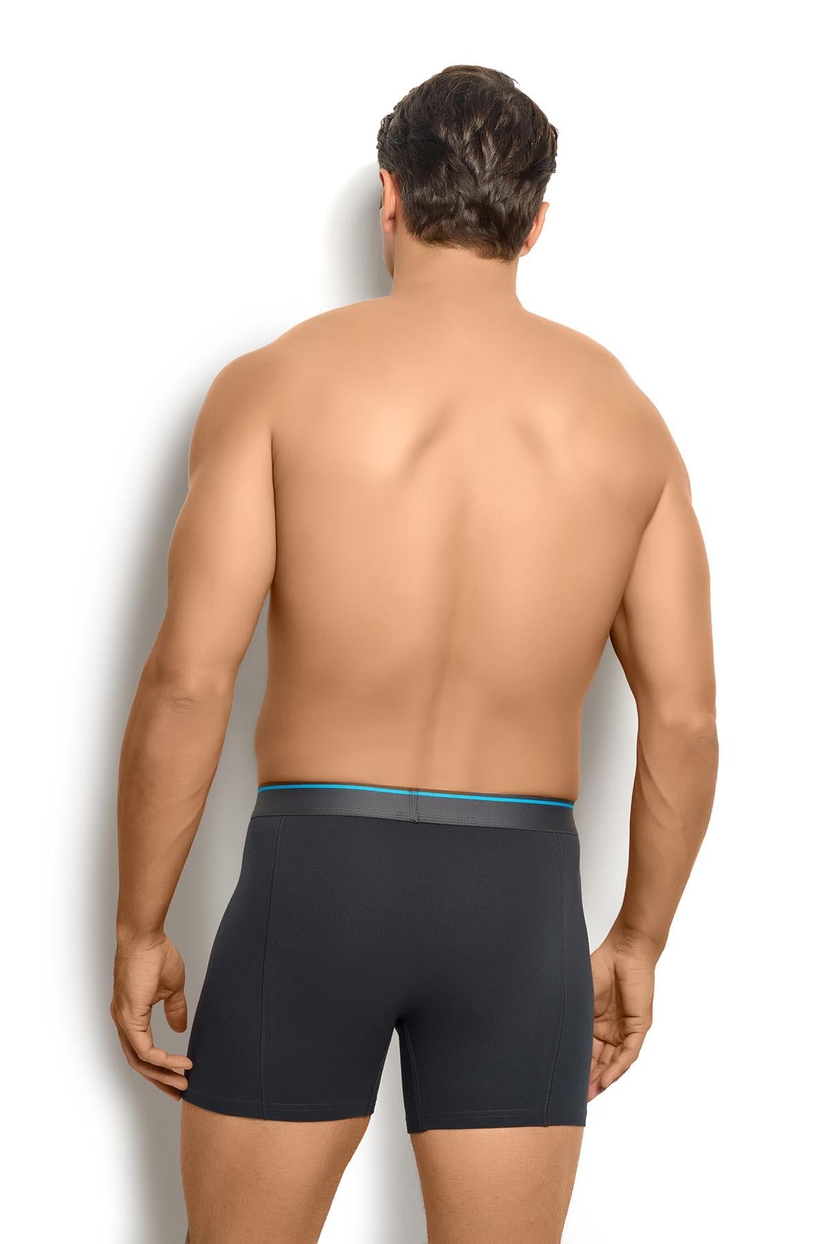 Erkek Füme Pamuklu Likralı 3lü Boxer 267