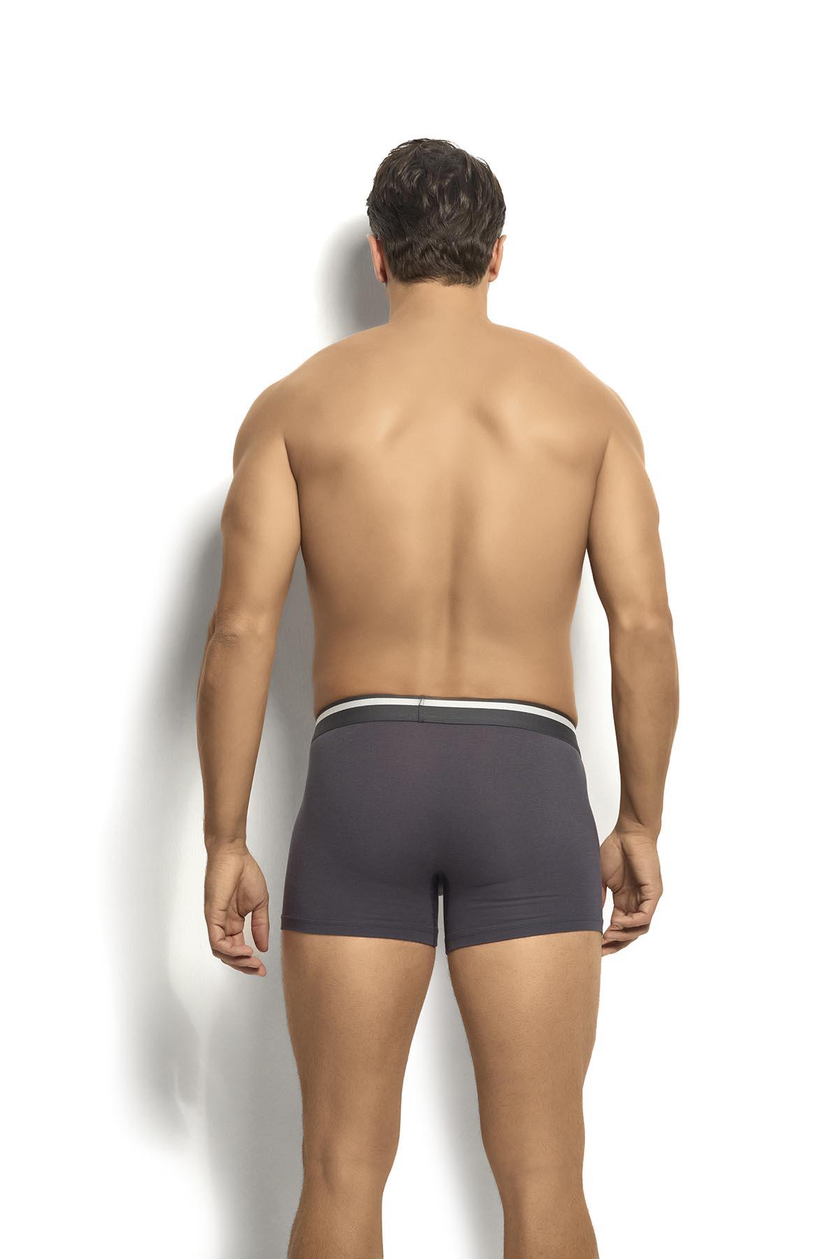Erkek Mikromodal 3lü Asorti Boxer 243 Asorti  JBR243.0000001