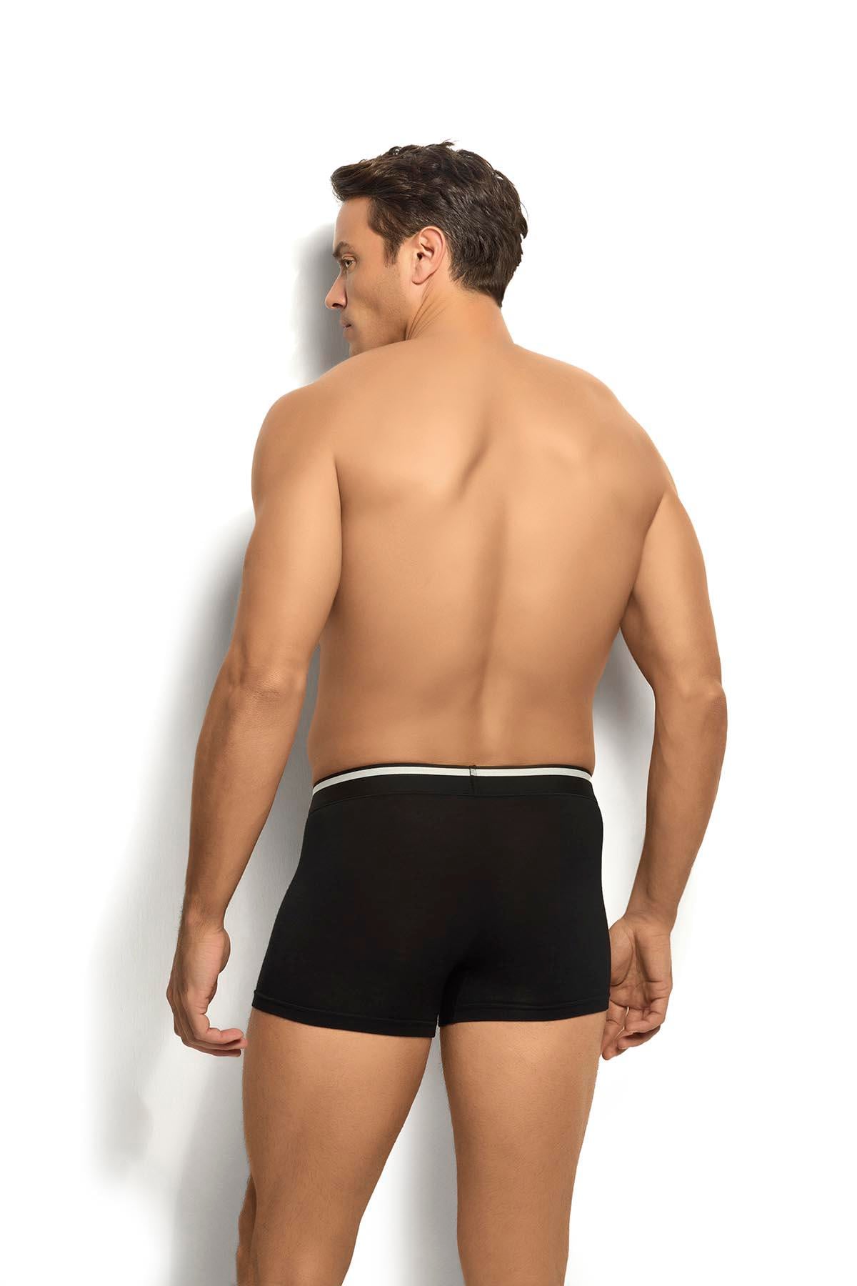 Erkek Mikromodal 3lü Asorti Boxer 243 Asorti  JBR243.0000001
