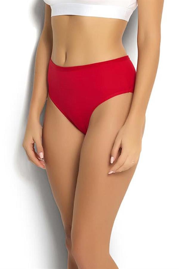 12 Lİ KADIN KIRMIZI PAMUKLU BİKİNİ KÜLOT 652