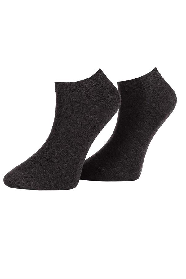 Erkek 12li Modal Patik Çorap 6100 Antrasit  JBR6100.0012