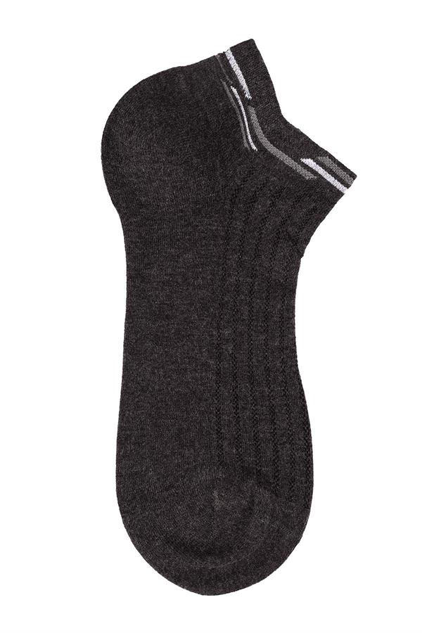 Erkek Antrasit Patik Modal Çorap 6111