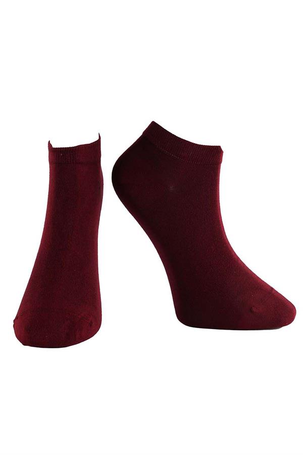 Erkek Bordo Modal Patik Çorap 6100
