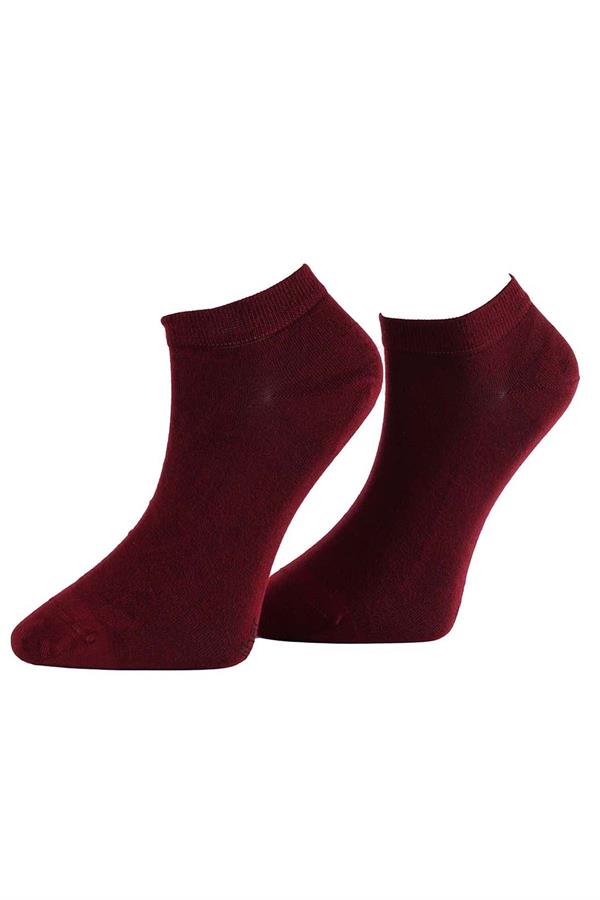 Erkek Bordo Modal Patik Çorap 6100