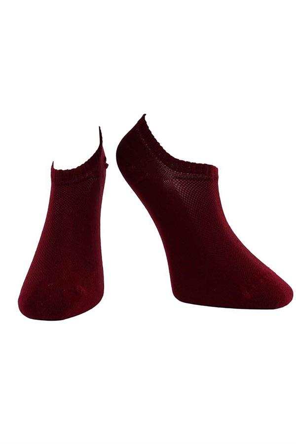 Erkek Bordo Pamuklu  Sneaker Çorap 7701